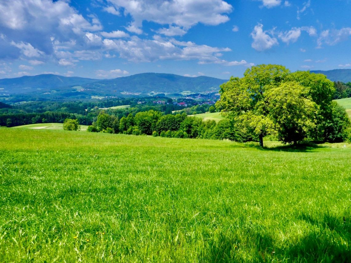 Unterwegs auf der Trans Bayerwald