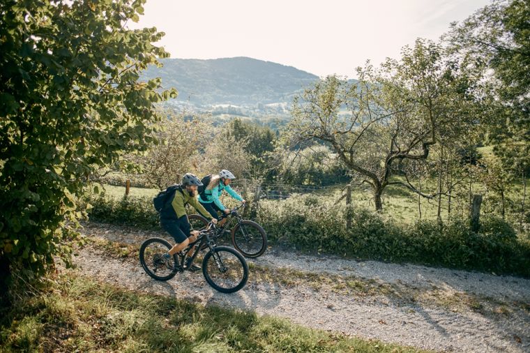 Trans Bayerwald im Graflinger Tal